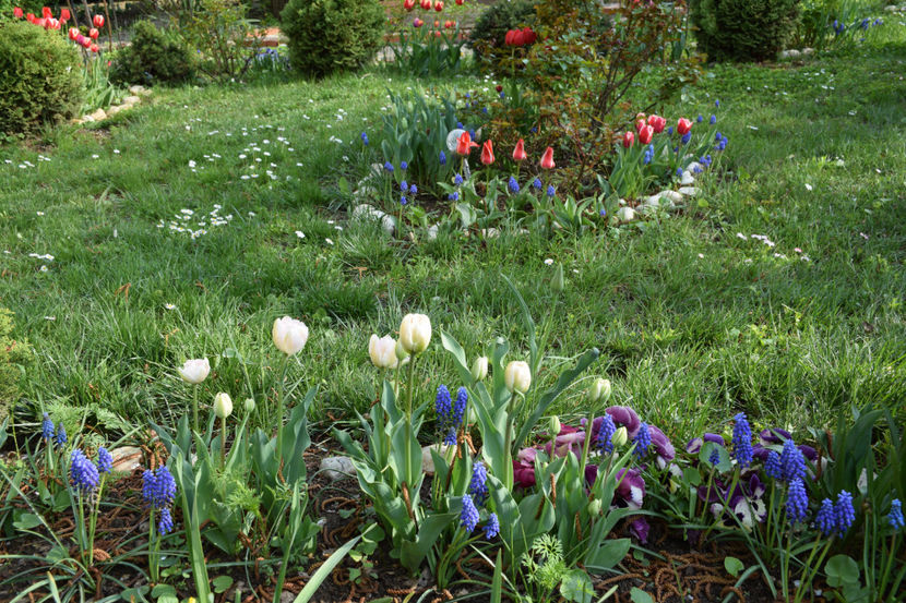  - Pridvor si Idilic garden