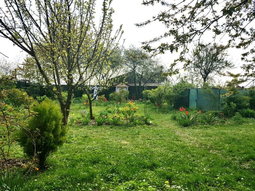  - 2019 Idilic garden