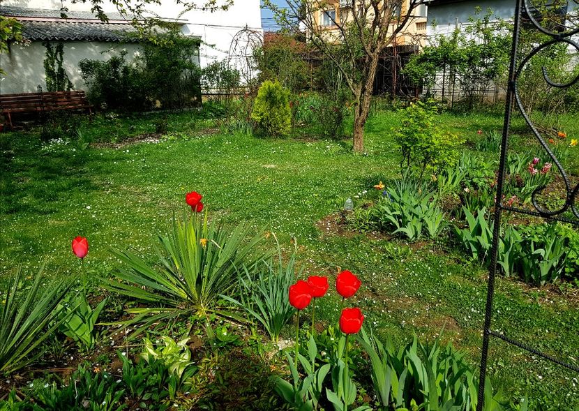  - 2019 Idilic garden