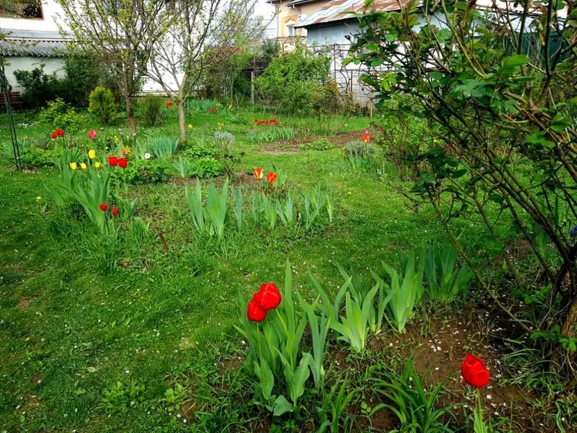  - 2019 Idilic garden
