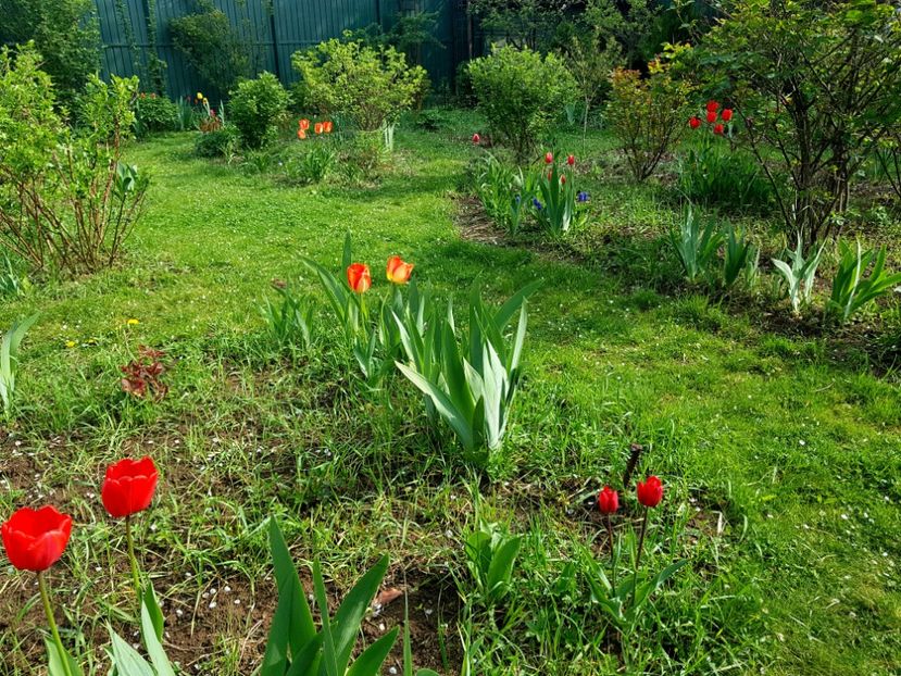  - 2019 Idilic garden