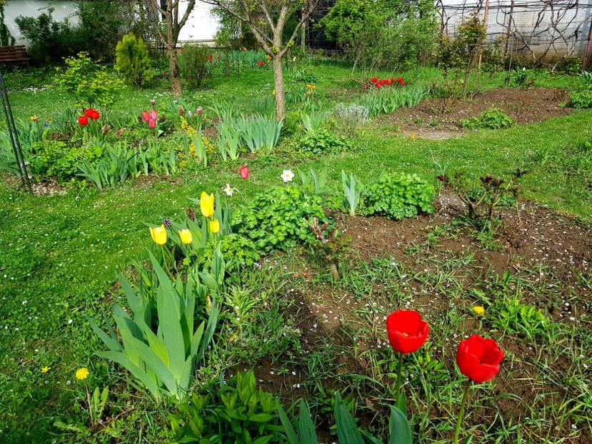  - 2019 Idilic garden
