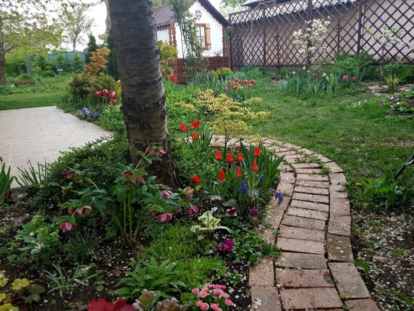  - 2019 Gradina Pridvor