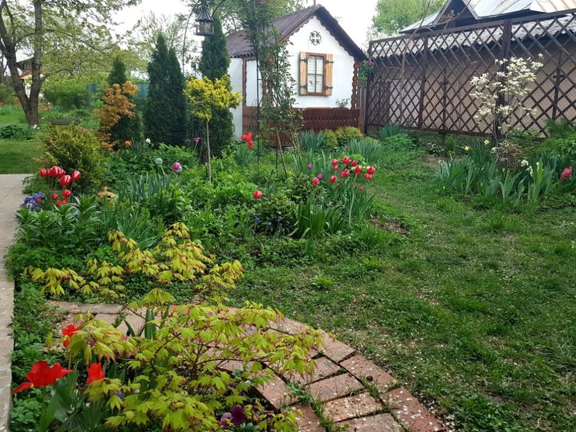 - 2019 Gradina Pridvor