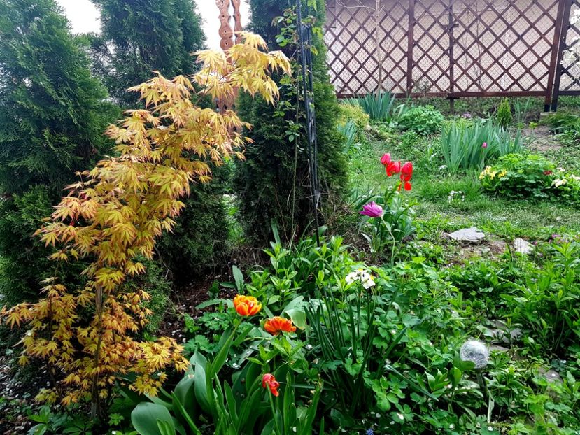  - 2019 Gradina Pridvor