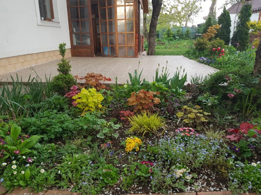  - 2019 Gradina Pridvor