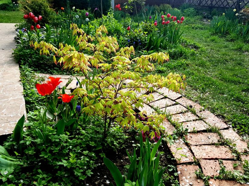  - 2019 Gradina Pridvor