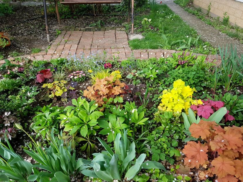 - 2019 Gradina Pridvor