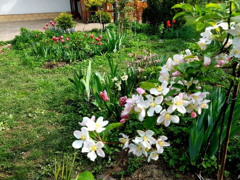  - 2019 Gradina Pridvor