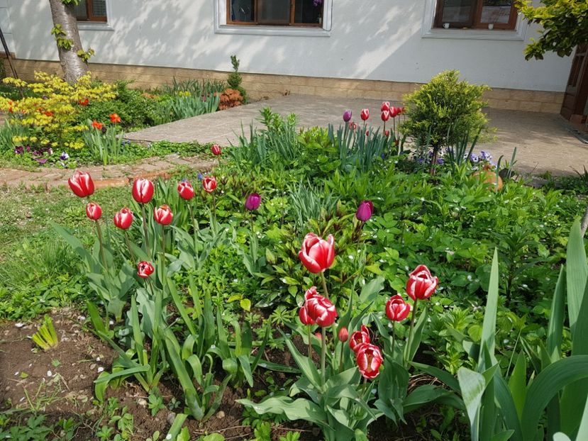 - 2019 Gradina Pridvor