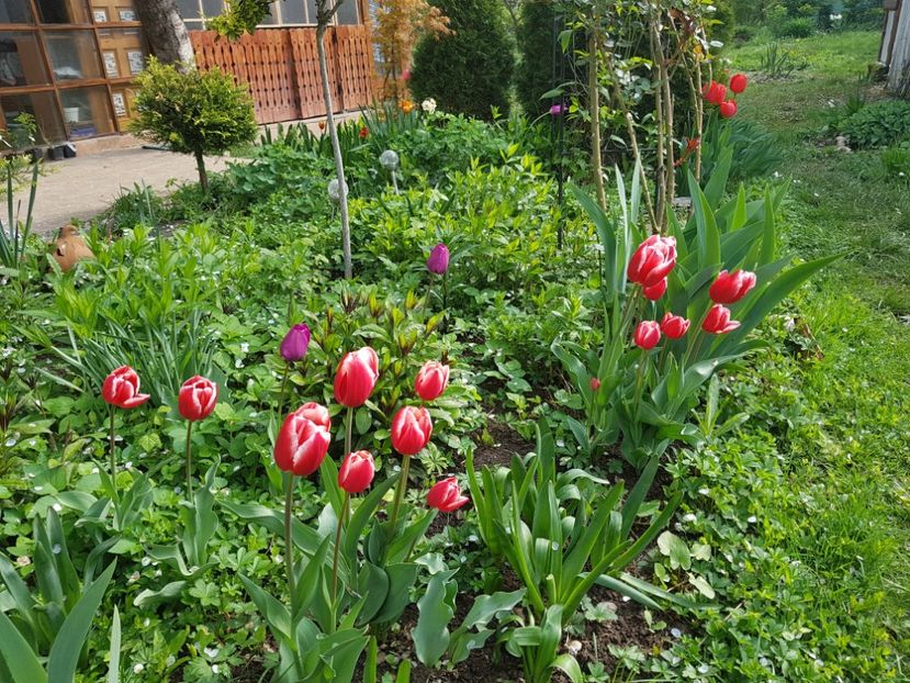  - 2019 Gradina Pridvor
