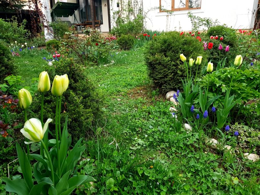 Green spring - 2019 Aprilie