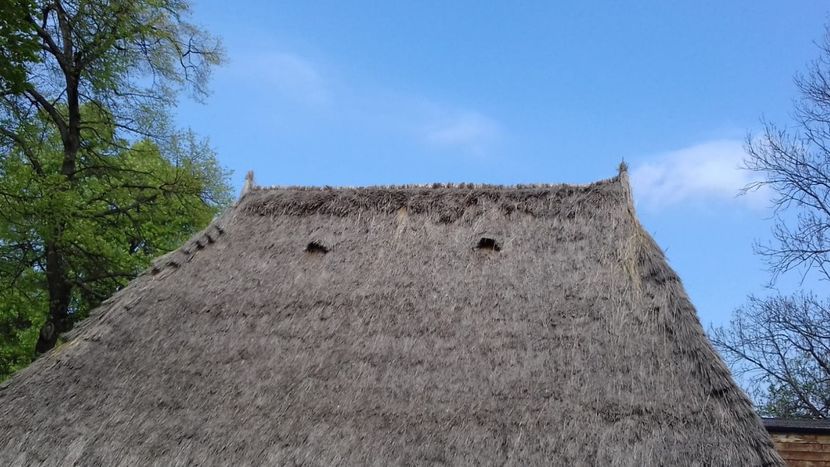 IMG-20190416-WA0013 - Excursie buc