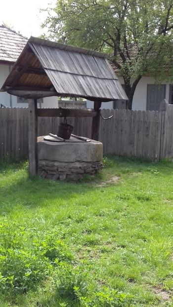 IMG-20190416-WA0008 - Excursie buc