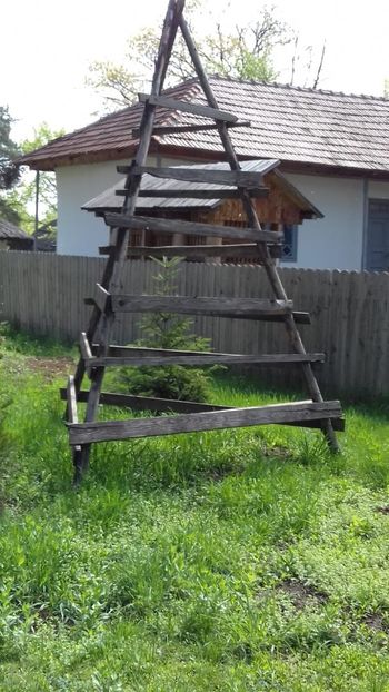 IMG-20190416-WA0002 - Excursie buc