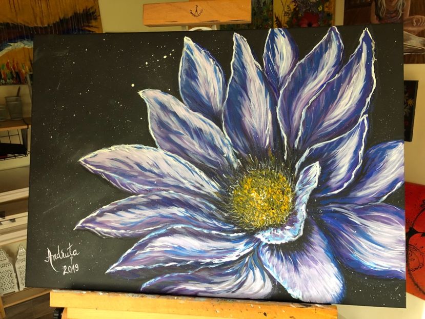 aprilie 2019. 50 / 70 cm disponibil - 0 PICTURILE MELE