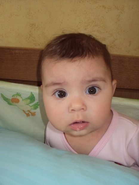  - Adelina Ioana 2