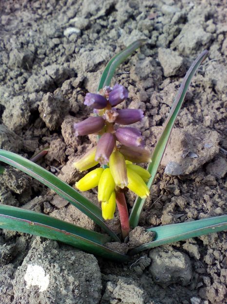  - curtea cu toate cele 2019