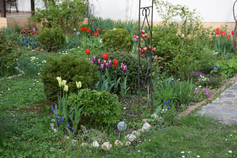 Green spring, Red Granny, Ballade - 2019 Gradina