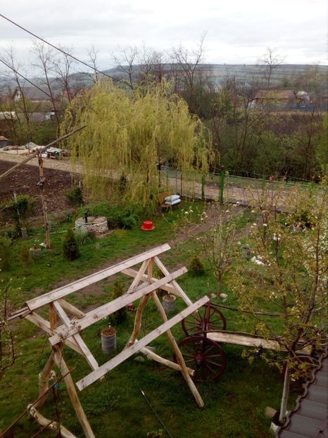  - Primavara in curte 2019