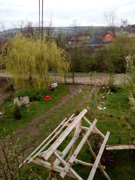  - Primavara in curte 2019