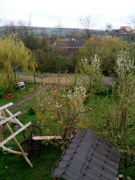  - Primavara in curte 2019