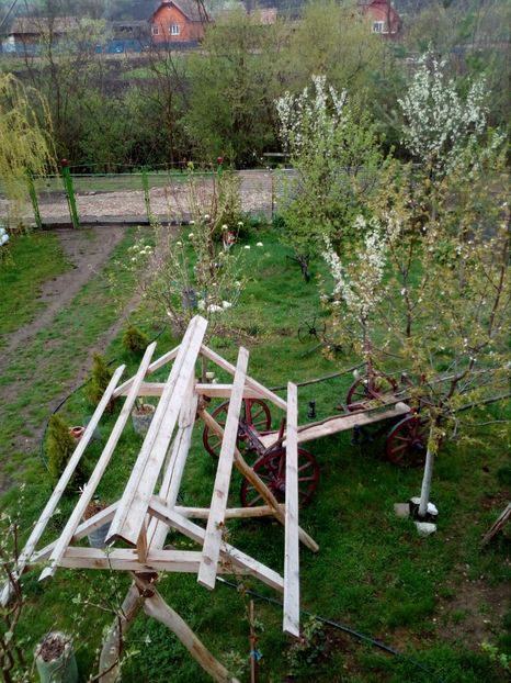  - Primavara in curte 2019