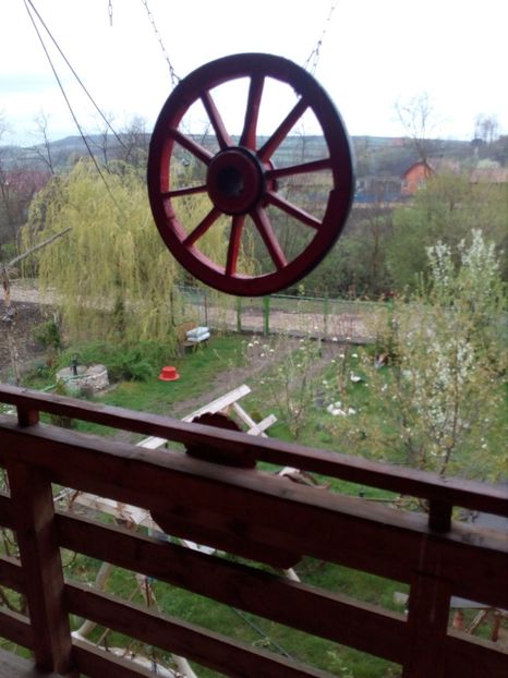  - Primavara in curte 2019