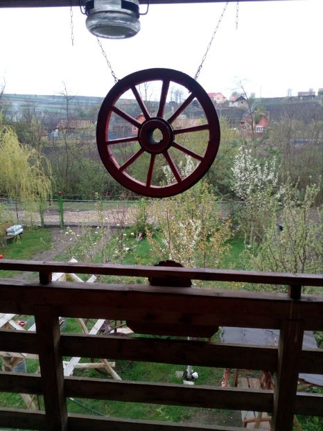  - Primavara in curte 2019