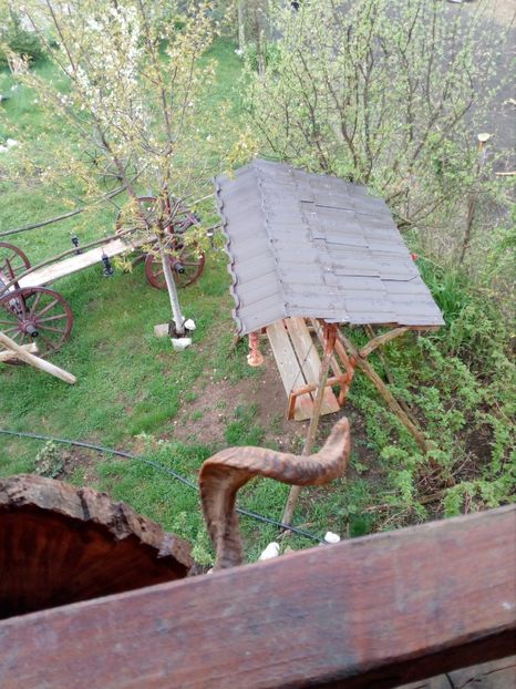  - Primavara in curte 2019