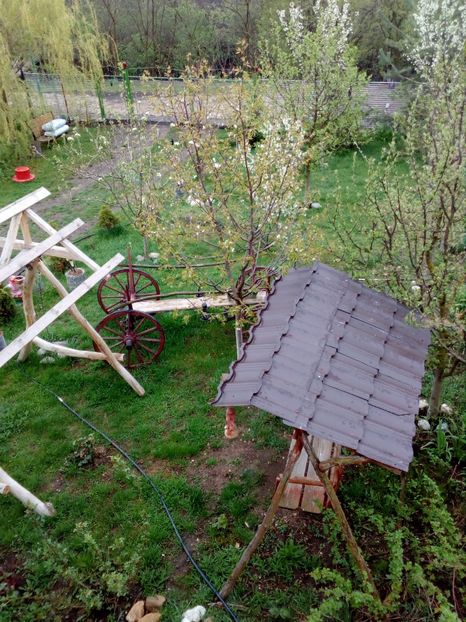  - Primavara in curte 2019