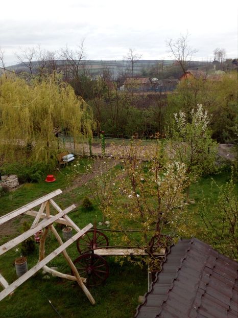  - Primavara in curte 2019