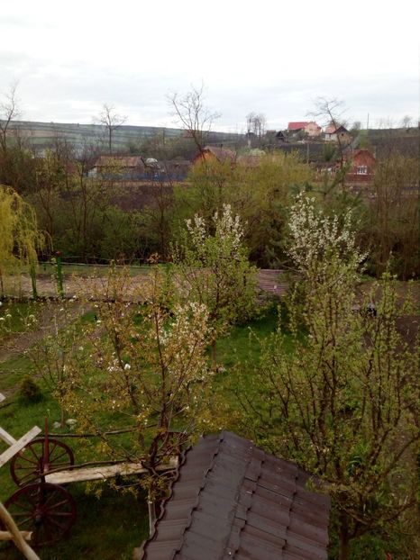  - Primavara in curte 2019