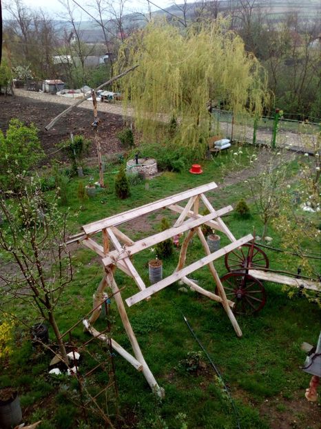  - Primavara in curte 2019