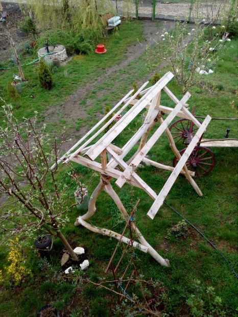  - Primavara in curte 2019