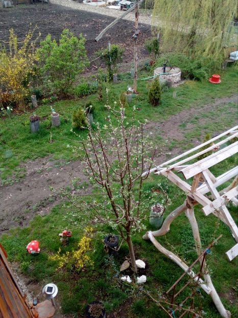  - Primavara in curte 2019