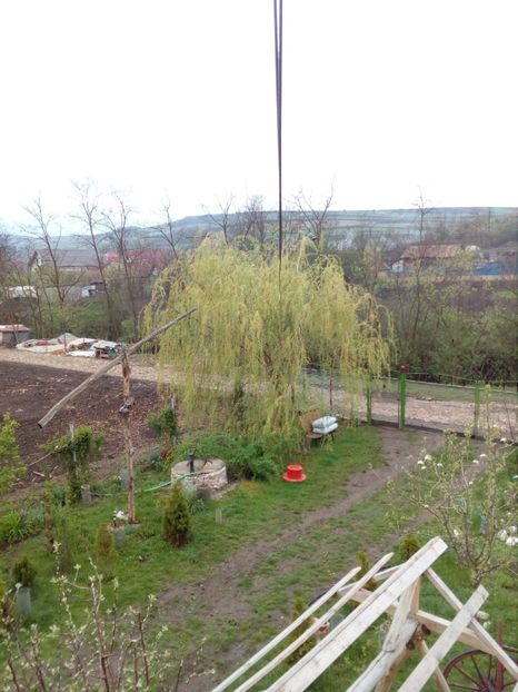  - Primavara in curte 2019