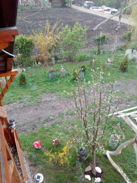  - Primavara in curte 2019