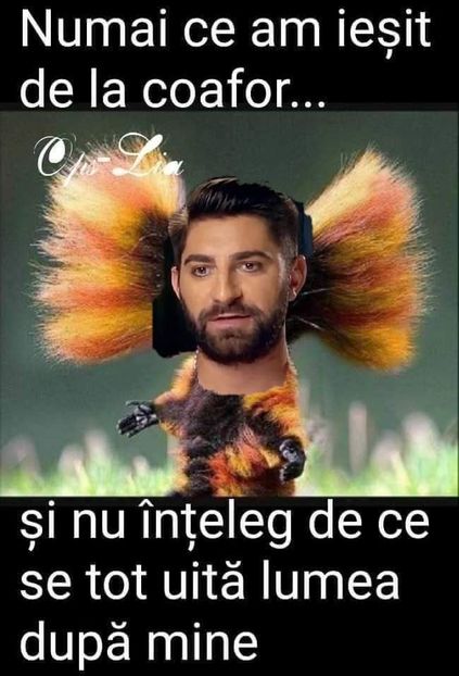  - Sezonul 5 insula iubirii - memes 1