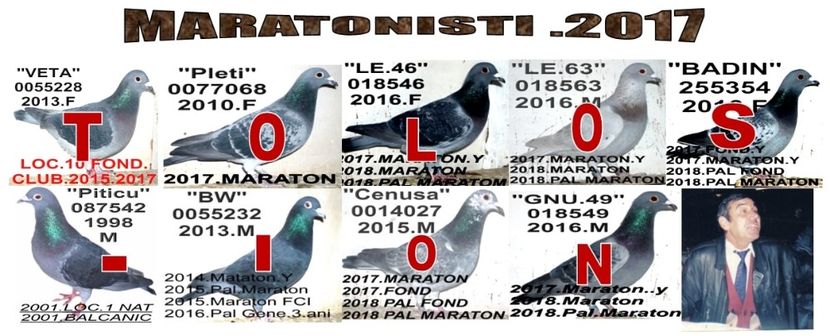 1+2017 - 2-2014 MARATONISTI