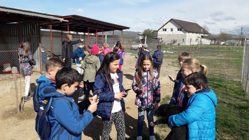  - PITICI IN VIZITA LA IEPURAS