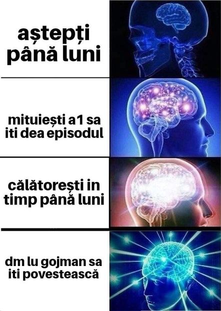  - Sezonul 5 insula iubirii - memes 1