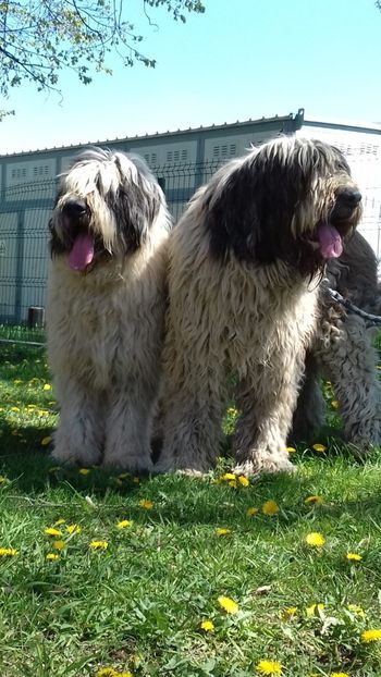 IMG-20190416-WA0014 - ARCAN-LINDA