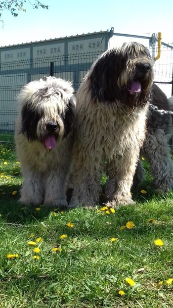 IMG-20190416-WA0005 - ARCAN-LINDA