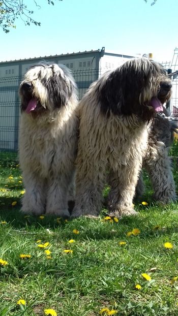 IMG-20190416-WA0006 - ARCAN-LINDA