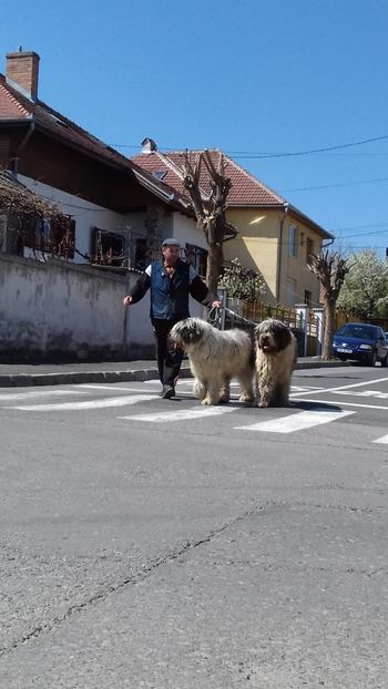 IMG-20190416-WA0010 - ARCAN-LINDA