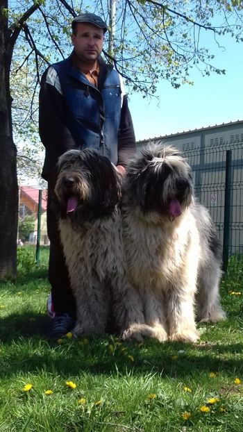 IMG-20190416-WA0022 - ARCAN-LINDA