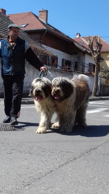 IMG-20190416-WA0012 - ARCAN-LINDA