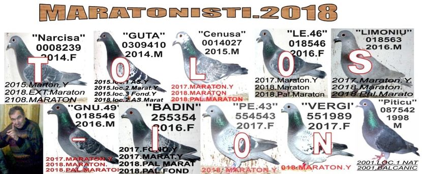 1+2018 - 2-2018 MARATONISTI