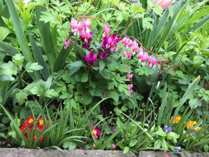 340B4B5E-35D4-4D26-AB97-5766FD6FAD3A - Aprilie